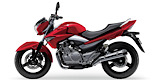 SUZUKI INAZUMA Spareparts